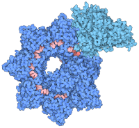 Structure of the INTEGRATE complex